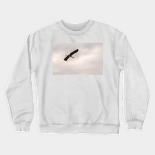 Grey heron flying in sky Crewneck Sweatshirt